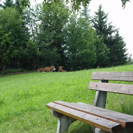 Gasthof Simml * Rettenegg