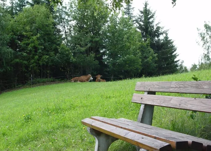 Gasthof Simml * Rettenegg