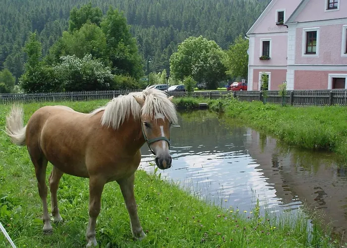 Gasthof Simml بيت ريفي